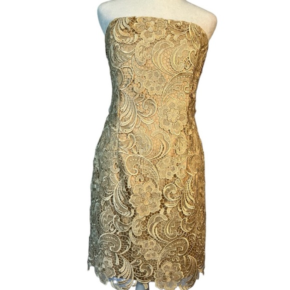Adrianna Pappel Strapless Lace Knee Length Dress in Color Champagne Size 8P - Picture 4 of 9